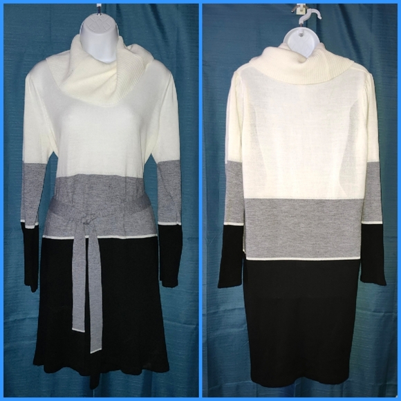 NY Collection Cowl Neck Sweater Dress - Picture 2 of 5